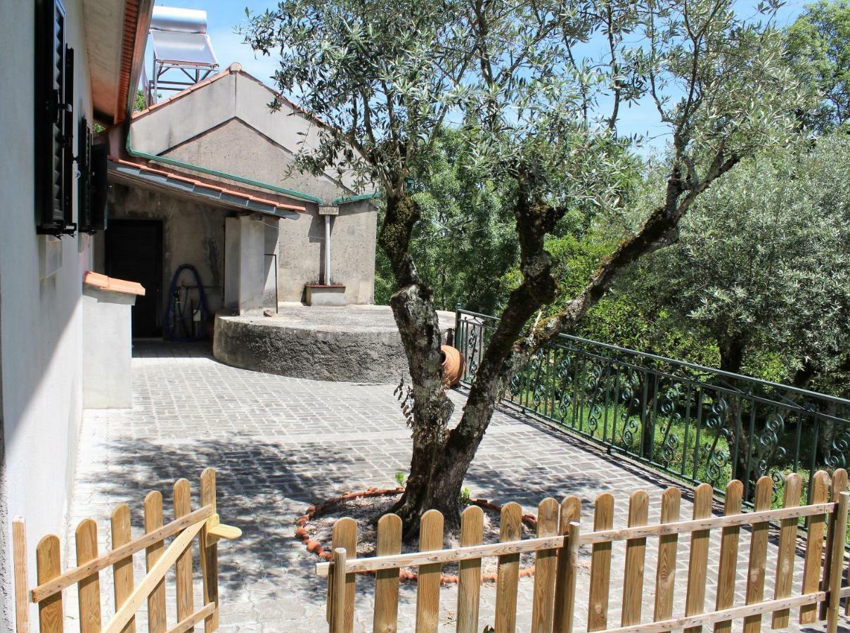 Casa Da Maria Moca Villa Fátima Kültér fotó