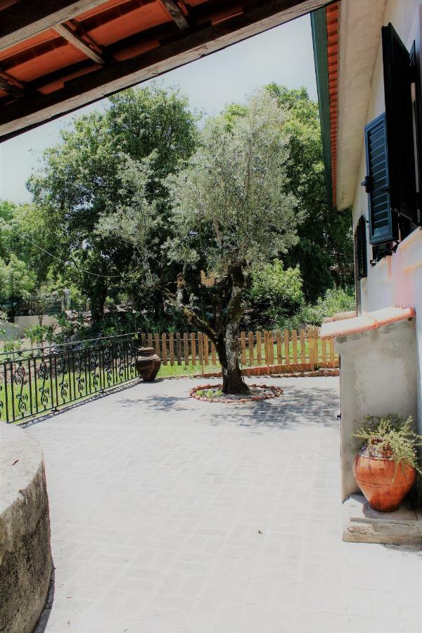 Casa Da Maria Moca Villa Fátima Kültér fotó
